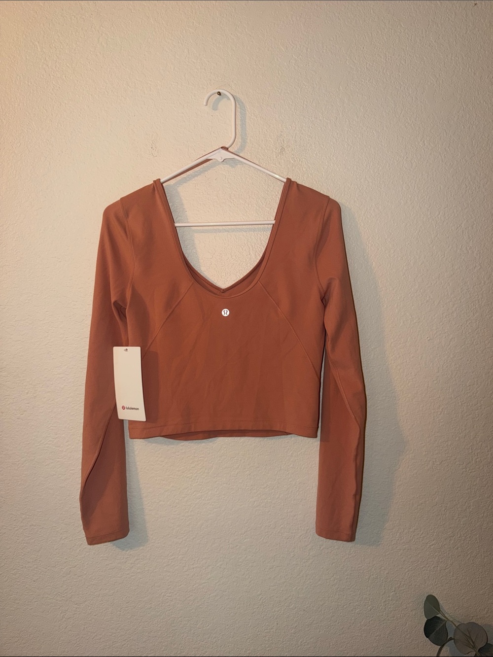 lululemon athletica align crop long sleeve